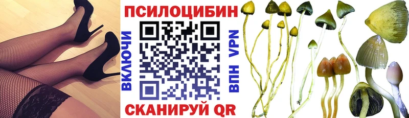 ОМГ ОМГ ТОР  Кола  Галлюциногенные грибы мицелий  купить закладку 